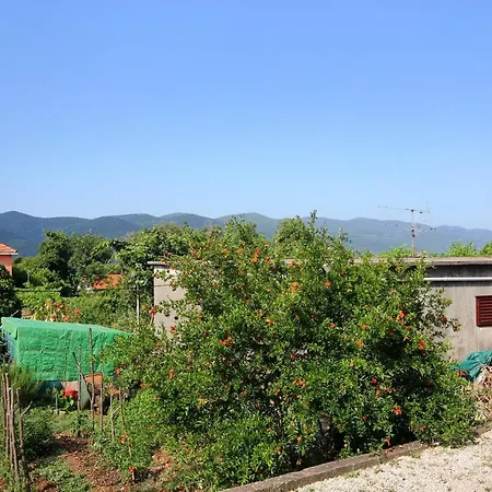 By The Sea Viganj, Peljesac - 10189 *
