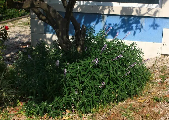 By The Sea Viganj, Peljesac - 10189 *