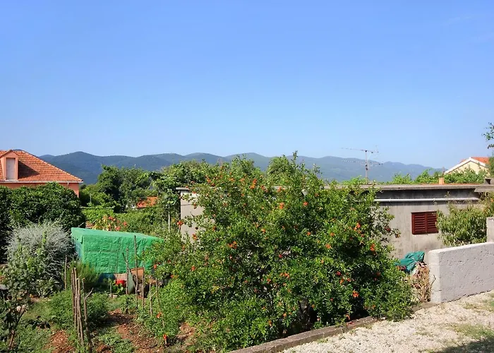 By The Sea Viganj, Peljesac - 10189 *